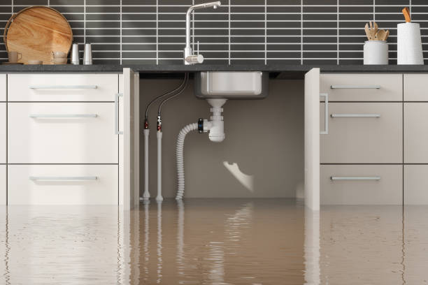 Best Residential water damage restoration  in Brass Castle, NJ