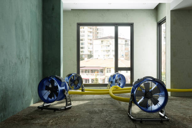Best Water damage restoration near me  in Brass Castle, NJ